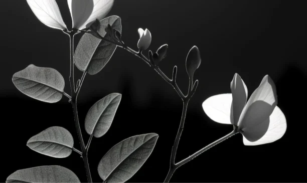 service003 service003